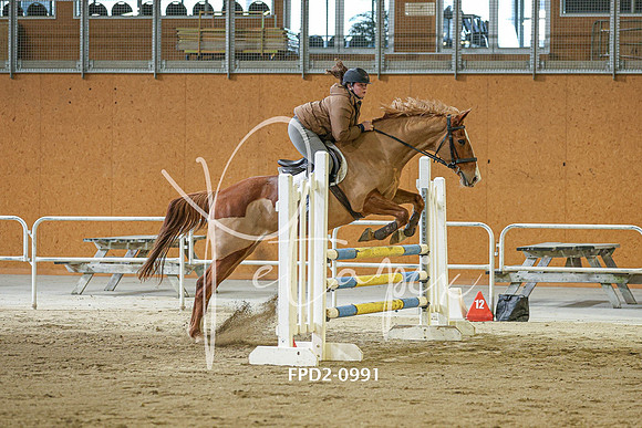 FPD2-0991
