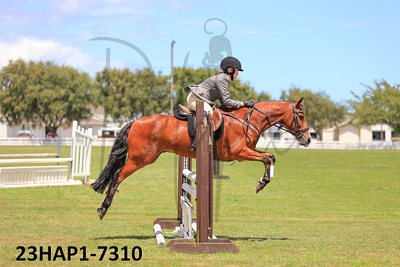 23HAP1-7310