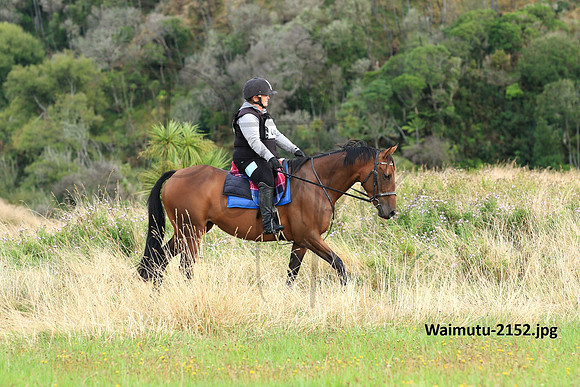 Waimutu-2152