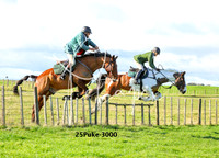 25Puke-3000