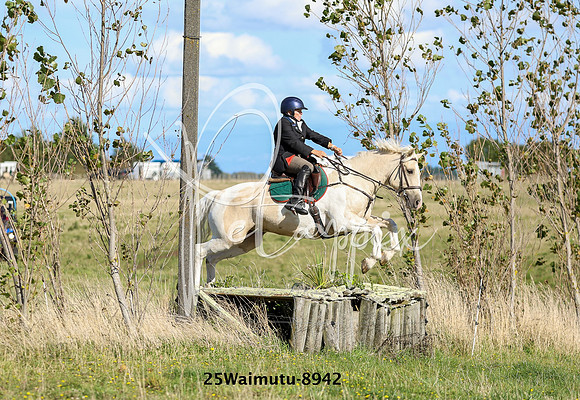25Waimutu-8942