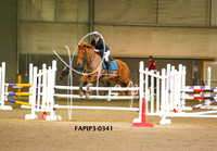 FAPIP3-0341