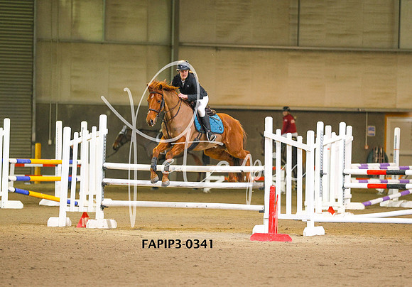 FAPIP3-0341