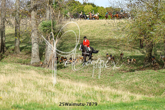 25Waimutu-7879