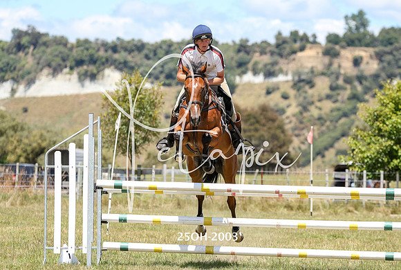 25OH-2003