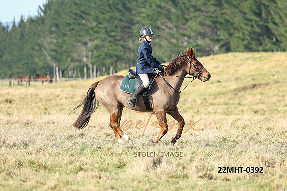 22MHT-0392