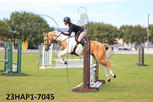 23HAP1-7045