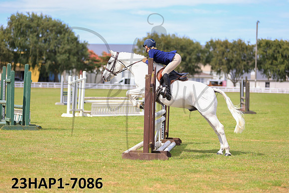 23HAP1-7086