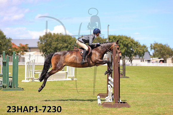 23HAP1-7230