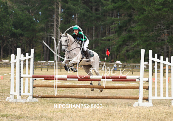 NIPCCHAMPS2-8623