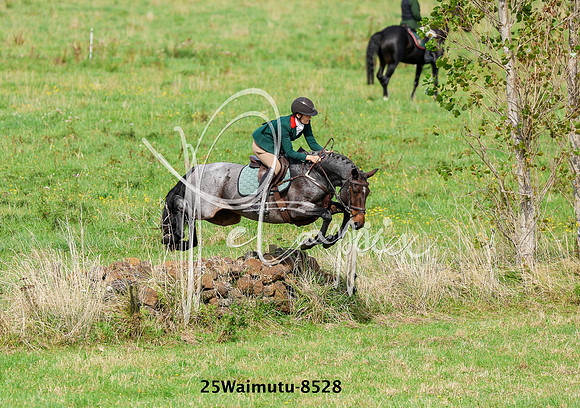 25Waimutu-8528