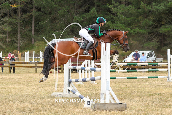 NIPCCHAMPS2-8703