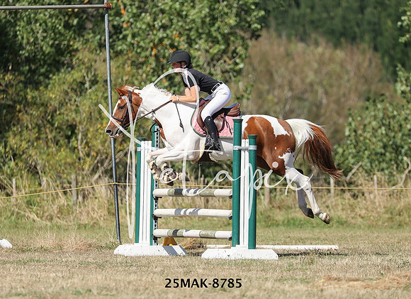 25MAK-8785