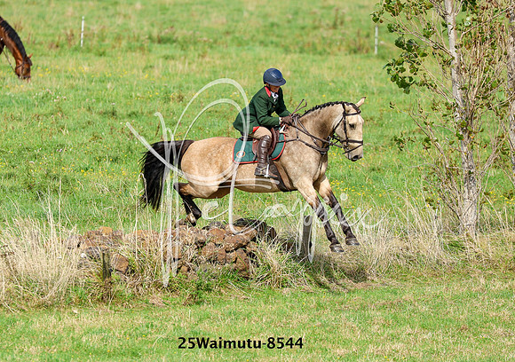 25Waimutu-8544