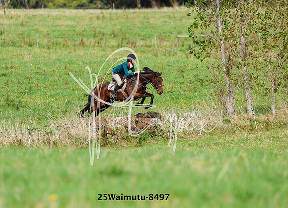 25Waimutu-8497