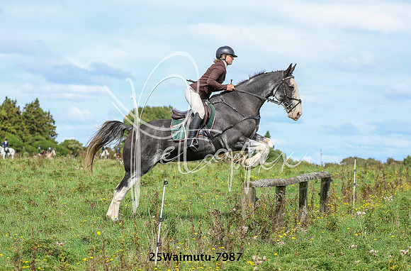 25Waimutu-7987