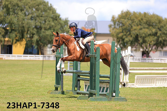 23HAP1-7348