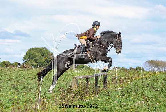 25Waimutu-7972
