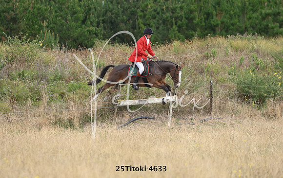 25Titoki-4633