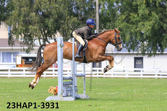 23HAP1-3931