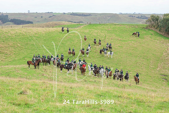 24 TaraHills-3989