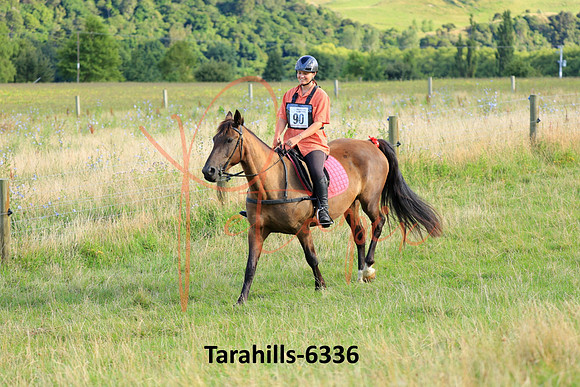 Tarahills-6336