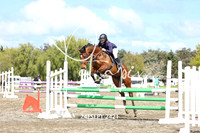 Saturday R2 Class 18 Horse 1m - first few only