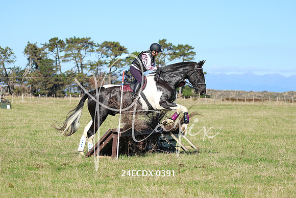 24ECDX-0391
