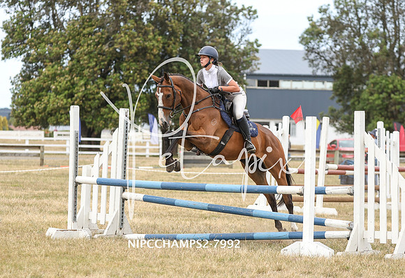 NIPCCHAMPS2-7992