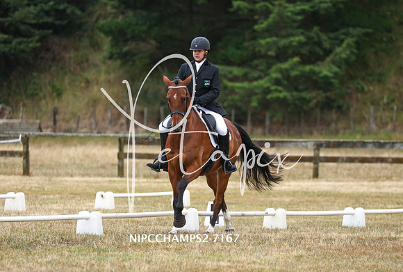 NIPCCHAMPS2-7167