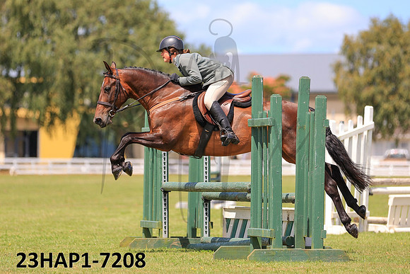 23HAP1-7208