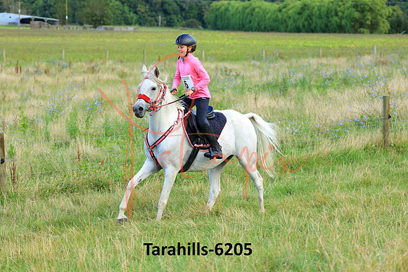 Tarahills-6205
