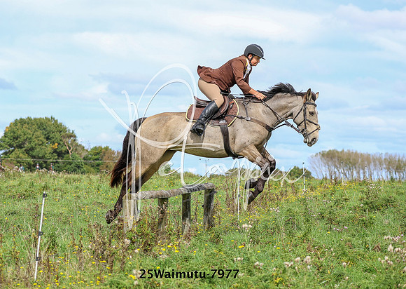 25Waimutu-7977