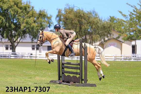 23HAP1-7307