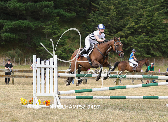 NIPCCHAMPS2-9497