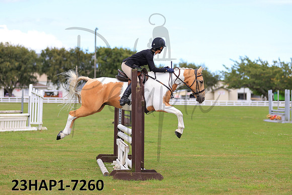 23HAP1-7260