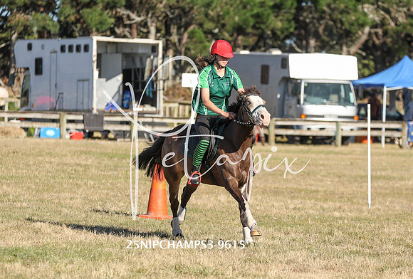 25NIPCHAMPS3-9615