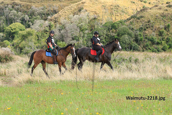 Waimutu-2218