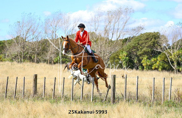 25Kakanui-5993