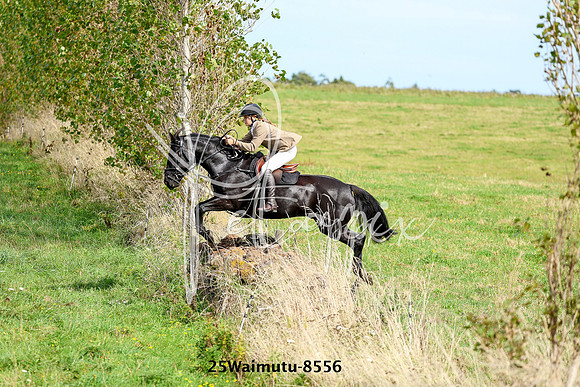 25Waimutu-8556
