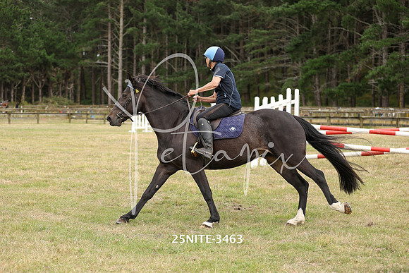 25NITE-3463
