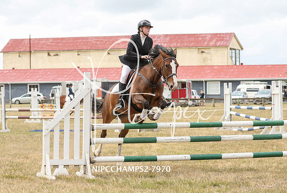 NIPCCHAMPS2-7970