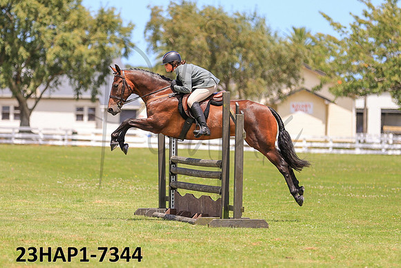 23HAP1-7344