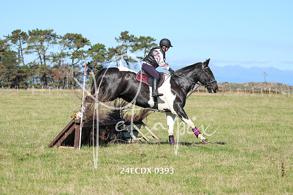 24ECDX-0393