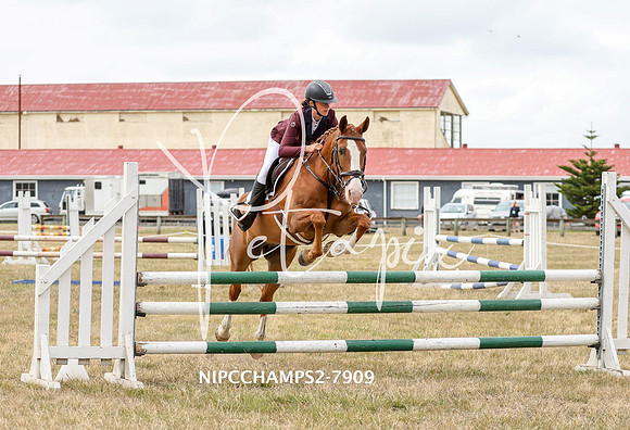 NIPCCHAMPS2-7909