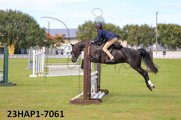 23HAP1-7061