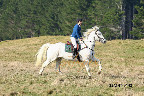 22MHT-0442