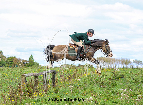 25Waimutu-8025