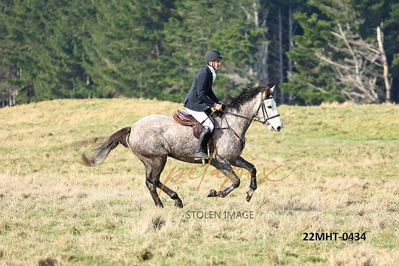 22MHT-0434