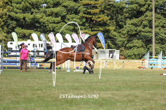 25Taihape2-3292